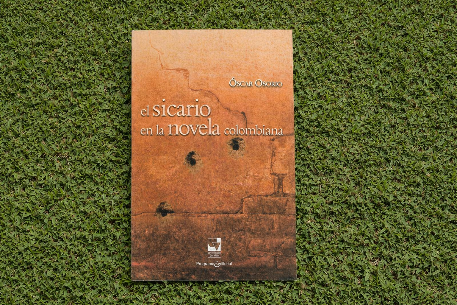 El sicario en la novela colombiana Óscar Osorio